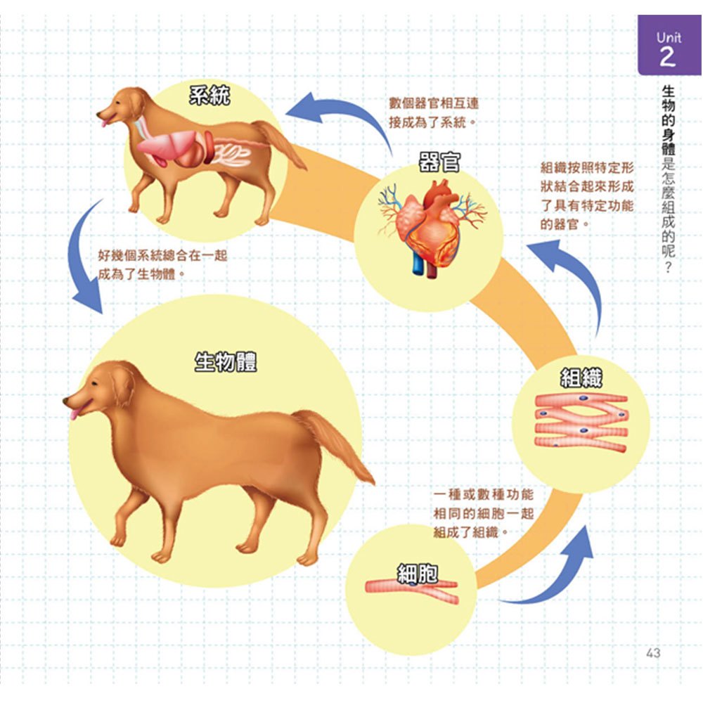 小學生的自然科學素養讀本：奇異的自然界生物！